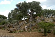 Sizilien (209 von 565).jpg